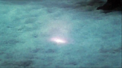 Daft Punk Final scene in I Feel It Coming