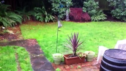 ESSAYEZ DE NE PAS RIRE #104 ! - Vidéo Drôle de - vidéos les plus drôles