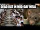 Delhi school students served mid day meal with dead rat, 9 fall sick | Oneindia News