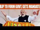UP assembly results 2017:  BJP gets mandate, all voted for Modi's development agenda | Oneindia News