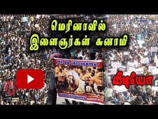 மெரினாவை கலக்கும் இளைஞர்கள் | Students protest in Marina- Oneindia Tamil