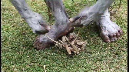 Stone Age Fire Making