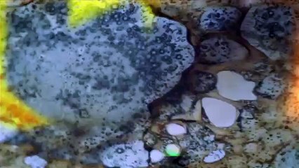 Honest Teaser - The Force Awakens