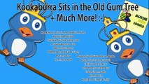 Kookaburra Sits In The Old Gum Tree | Original Song With Lyrics | Aussie Kids Songs