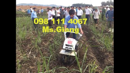 Máy cày Trâu Vàng xới đất cứng 0981114067