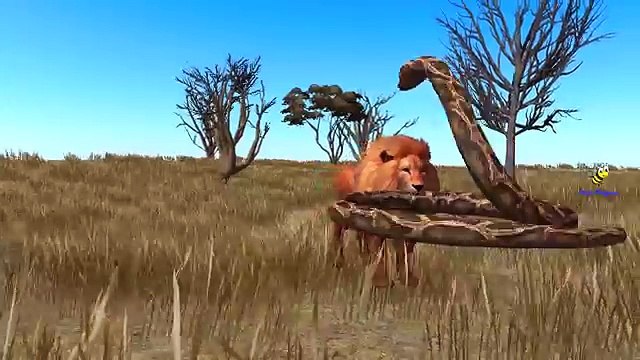 Лев нападение питона Мега бой Лев против питона бои видео для детей 3D анимация