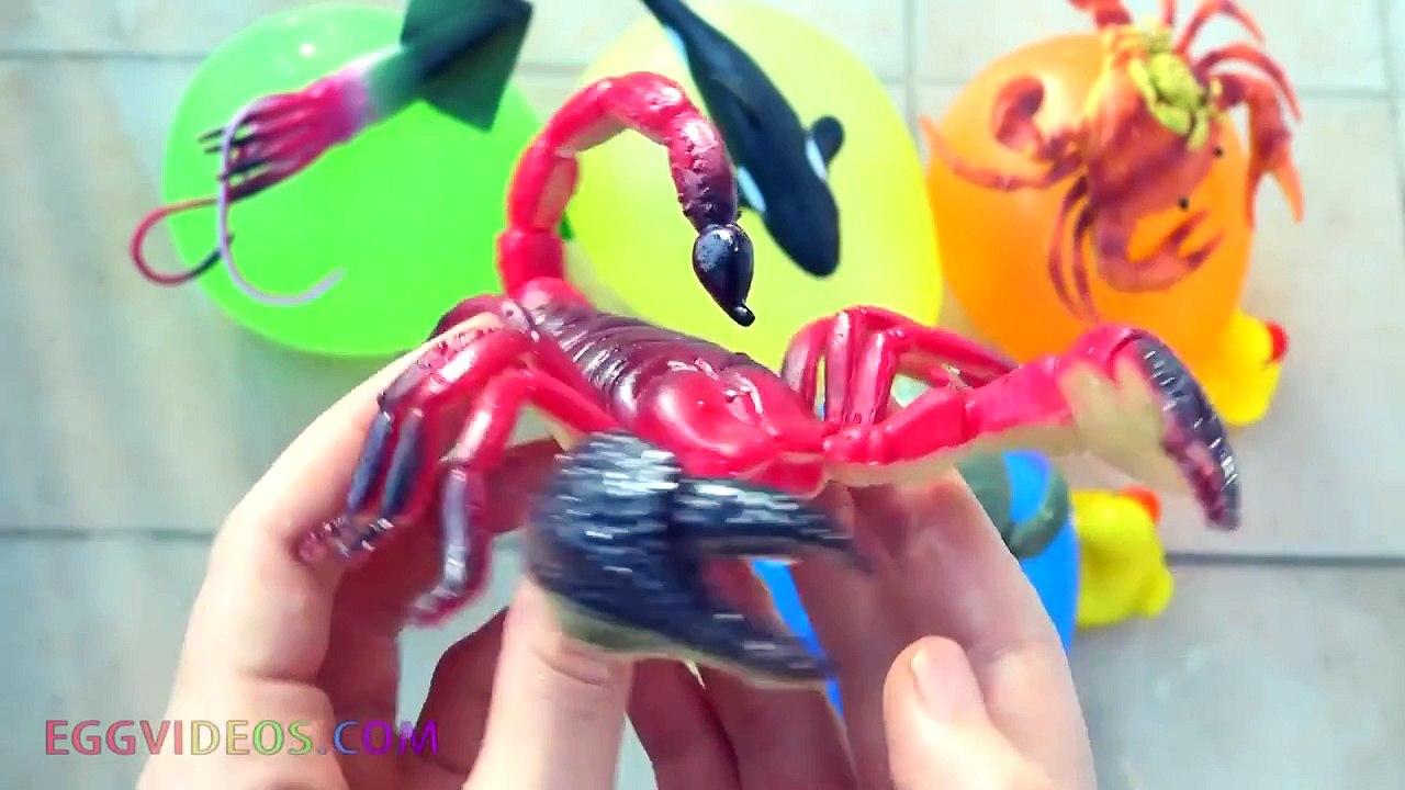 Nursery Rhymes Finger Family Learn Colors by EggVideos.com