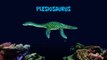 Prehistoric Sea Life - Dunkleosteus - The Kids
