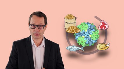 FUN MOOC : ProtéiNNOV - Protéines végétales et Innovation (session 2)