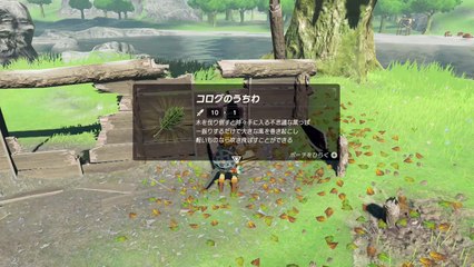 【世界を変えるゼルダの伝説】-ブレス オブ ザ ワイルド- 実�
