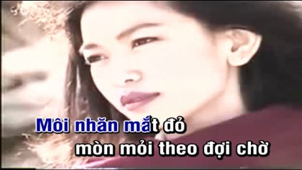 Thành phố mưa bay - Tuấn Vũ( Karaoke)