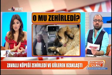 Zavallı köpeği zehirledi ve gülerek uzaklaştı