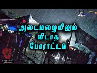மழையில் ஜல்லிக்கட்டுப் போராட்டம் | Jallikattu protest in heavy rain - Oneindia Tamil