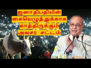 Descargar video: ஜனாதிபதியிடம் சென்றது அவசர சட்டம்  Draft oridinance sent to President- Oneindia Tamil