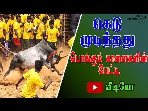 மெரீனாவில் இளைஞர்கள் போராட்டம் | People gathered for Jallikattu- Oneindia Tamil