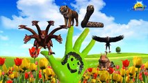 Fuego de dragón 3d Dedo de la Familia Vivero inglés rimas | Niños Animados dedo de la familia de la canción
