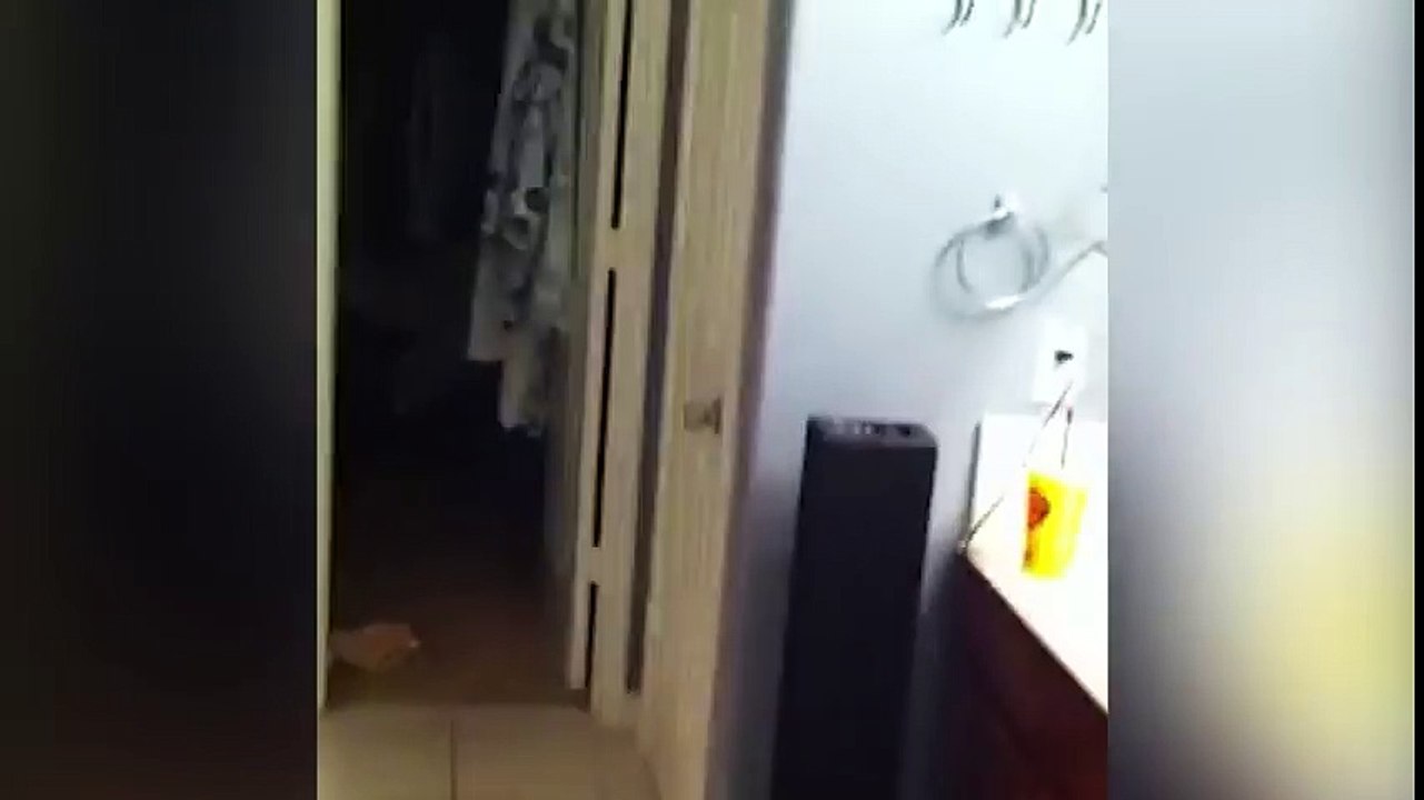 Dad Catches Kid's Embarrassing Moment! - Funny Videos