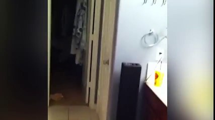 Dad Catches Kid's Embarrassing Moment! - Funny Videos