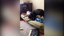Dog Gets Kids Out Of Bed - Funny Animals Videos