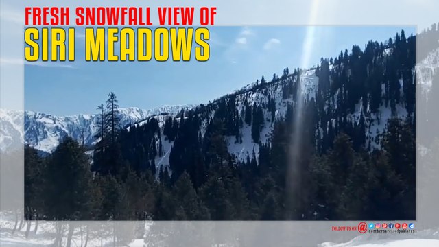 Shogran Siri Meadows Fresh Snowfall