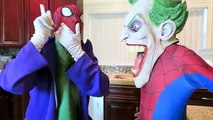 Spiderman vs Joker - Spiderman Loses His Head! w/ Frozen Elsa, Venom Finger Family - Fun Superheroes