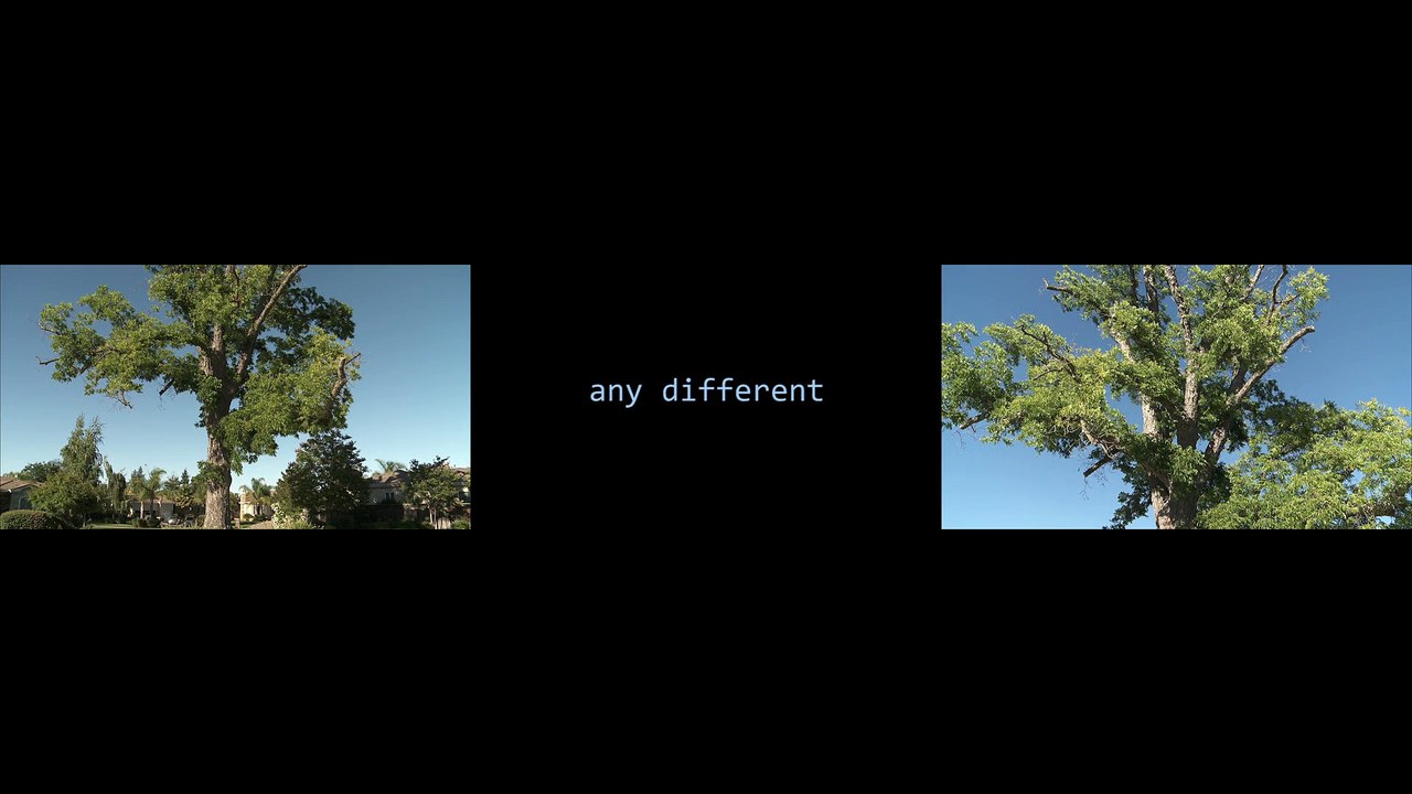 Bande-annonce // A Strange New Beauty de Shelly Silver [Compétition Internationale]