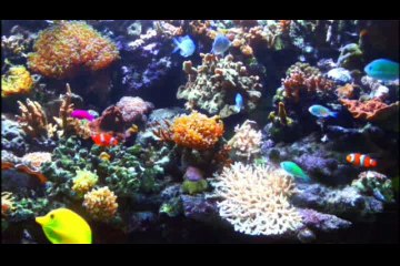 Hyperdrive S02E01 - The Green Javelins