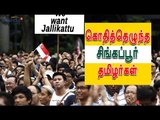 சிங்கப்பூரில் ஜல்லிக்கட்டு போராட்டம் | Tamilians protest against jallikattu ban- Oneindia Tamil