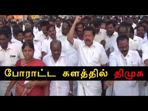 திமுக சார்பில் போராட்டம் | DMK protests against Jallikattu ban- Oneindia Tamil