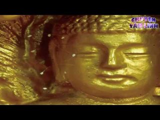 Thế Giới Tâm Linh - Hà Tĩnh,Về quê ăn giỗ, phát hiện hoa Ưu Đàm nở trên xế hộp
