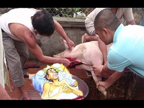 Thế giới tâm linh: Nhân quả báo ứng, Quả báo của việc sát sinh là vô cùng đau đớn