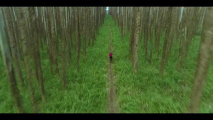 La magnifique video du VTTiste Mike Hopkins «DreamRide 2» : plein les yeux