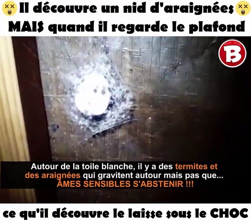 Il découvre un nid d'araignées MAIS quand il regarde le plafond ce qu'il découvre le laisse sous le CHOC