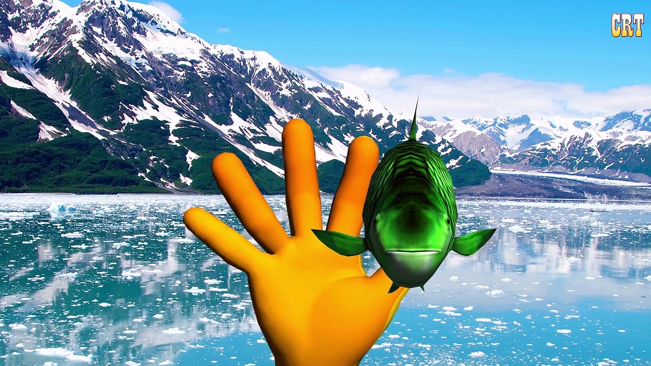 Finger Family - Fish Finger Family( AQUATIC FAMILY) | Nursery Rhymes | Kids Songs Collecti