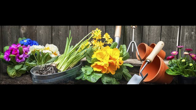 Russell's Irrigation and Landscaping Services (407) 205-1676