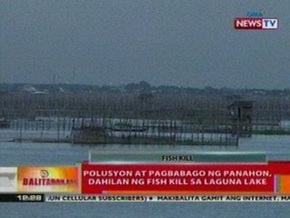 BT:  Polusyon at pagbabago ng panahon, dahilan ng   fish kill sa Laguna lake