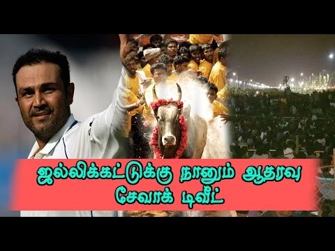சேவாக் ஜல்லிக்கட்டுக்கு ஆதரவு | Sehwag supports Jallikattu- Oneindia Tamil