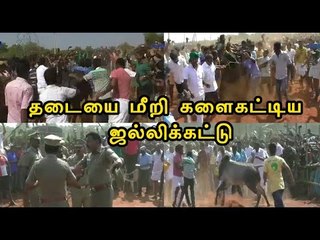 திருப்பூரில் தடையை மீறி ஜல்லிக்கட்டு | Jallikattu conducted at Tirupur- Oneindia Tamil