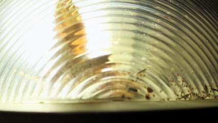 Bande-annonce // On the Edge of Life de Yaser Kassab [Compétition Internationale Premiers Films]