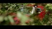 Fitoor Official Trailer _ Aditya Roy Kapur _ Katrina Kaif _ Tabu _ In Cinemas Feb. 12