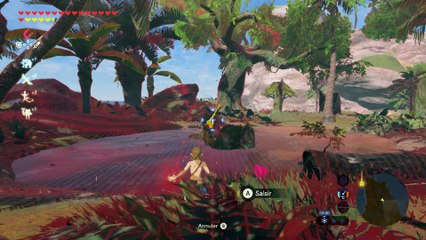 Zelda Breath of the Wild - Ile Finalis