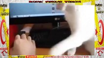 Kedi Korumalı Bilgisayar  Komik Video lar izle
