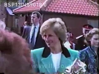Man Attacks Princess Diana