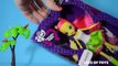 My Little Pony Equestria Girls Dolls Perfect For Pony And Brony Fans Toy Review