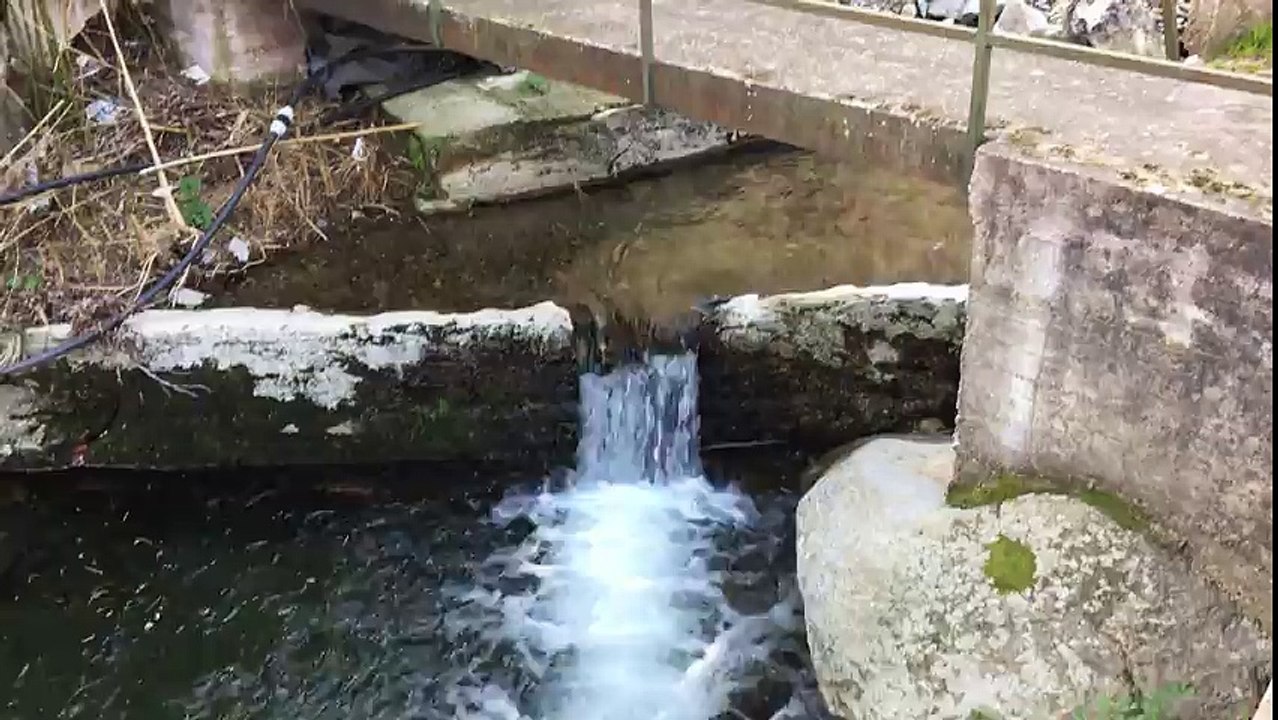 È dicenu chì Lupinu hè goffu...