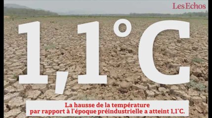 Climat : 2016, année de tous les (tristes) records