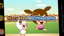 Baby Bao Panda | Mary Had A Little Lamb | Nursery Rhymes | Kids Songs | Children Rhymes