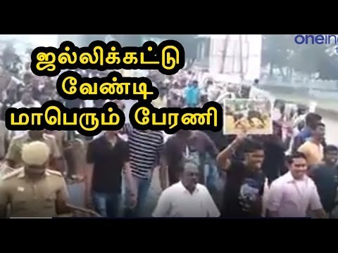 ஜல்லிக்கட்டு வேண்டி பேரணி | Youth rally for Jallikattu- Oneindia Tamil
