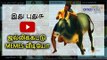 Jallikattu memes video | Memes corner| episode 2-Oneindia Tamil
