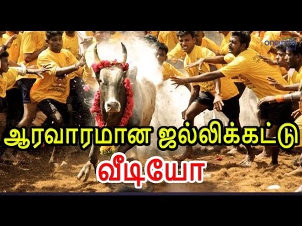 மதுரையில் ஜல்லிக்கட்டு நடக்கிறது | Jallikattu on madurai over the defy ban- Oneindia Tamil